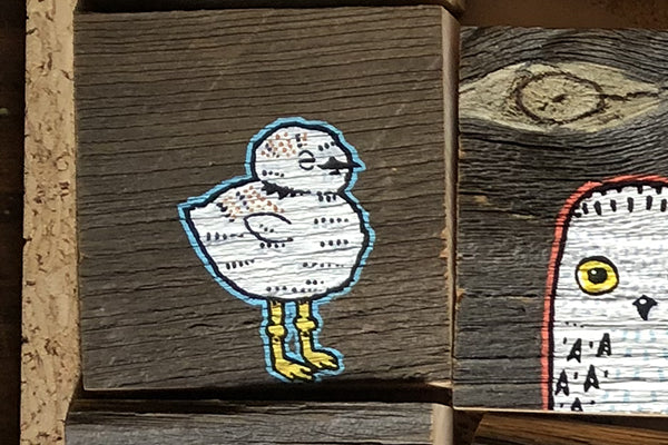 Original Art Painting of Piping Plover on Reclaimed Barn Wood by Mermaid Meadow Midcoast Maine Artisan Store The Good Supply Pemaquid Made in USA
