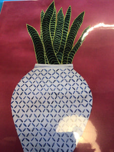 Sansevieria