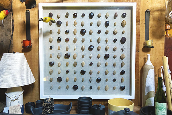 Assemblage of Caribbean Pods Slices by Museum Artist Alec Madoff Portrait Fresh Maine Art Midcoast Maine Artisan Store The Good Supply Pemaquid Made in USA