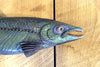 Ceramic Fish Sculpture Sleek Slider Handmade by BLAM Ceramics Midcoast Maine Artisan Store The Good Supply Pemaquid Made in USA