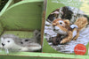 Needle Felt Kit Chipmunk by Heidi Boyd Crafts Maine Art Midcoast Maine Artisan Store The Good Supply Pemaquid Made in USA