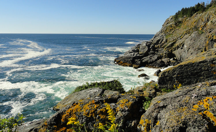 Vibes Craft Collections Fresh Maine Art Barn Midcoast Maine Artisan Store The Good Supply Pemaquid Made in USA