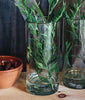 Direct Trade Importer Bitters Co. Hand-blown Glass Cylinder Vase
