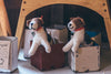 Mulxiply Hand Felted Stuffed Animals Puppy and Mom Dog Made in Nepal Fair Trade Supporting Womens Cooperatives