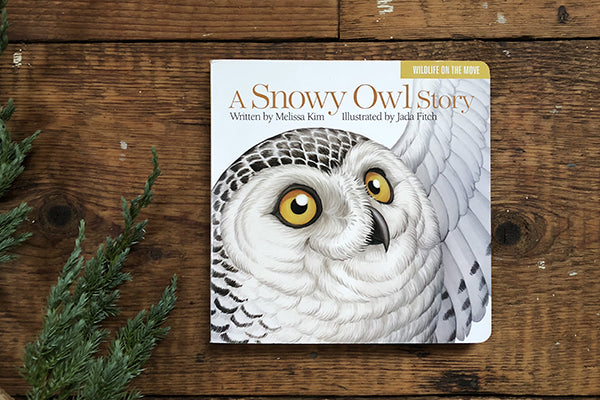 Islandport Press A Snowy Owl Story Published and Printed in Maine USA