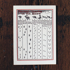 Saturn Press Christmas Card Made in Maine USA Animal Tracks in the Snow