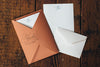 Letterpress Stationery Sets by Saturn Press are made in Maine, USA, on recycled paper. Flourish Dove