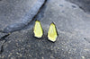 The Good Supply in Pemaquid Maine Enamel Artist Kate Mess Bitty Barnacle Stud Earrings in Chartreuse Enamel and Argentium Silver Handmade in USA